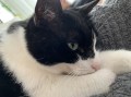Ronja (1)